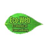 eco-web consulting